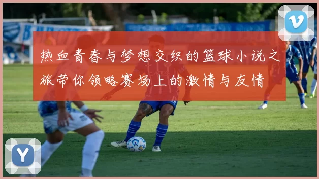 热血青春与梦想交织的篮球小说之旅带你领略赛场上的激情与友情